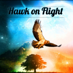 Hawk On Flight